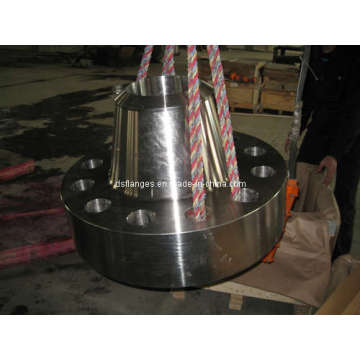 900LBS WNRF SCH10S Flanges